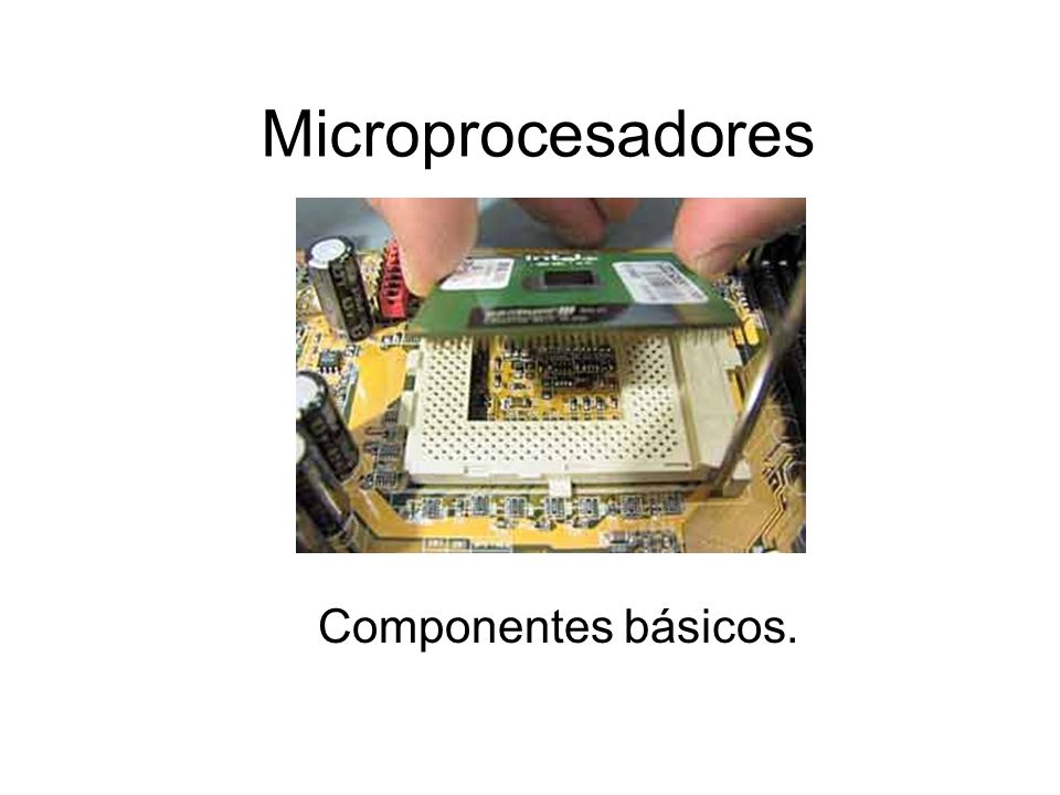 Microprocesadores Componentes básicos.