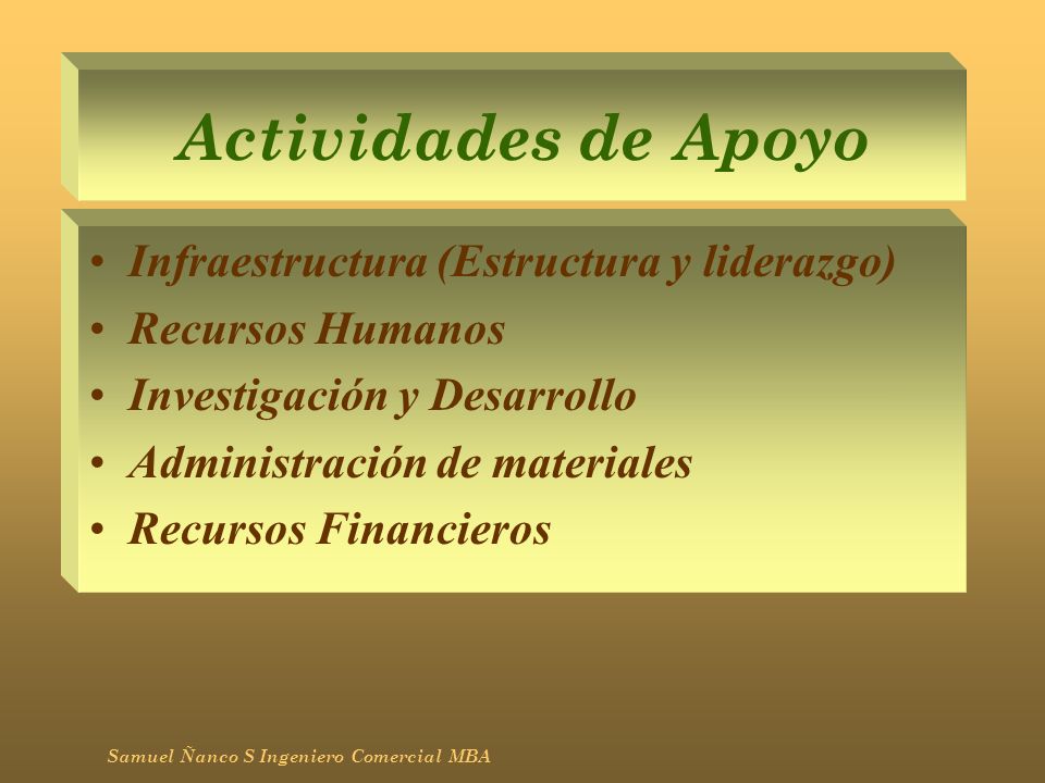 Actividades de Apoyo Infraestructura (Estructura y liderazgo)