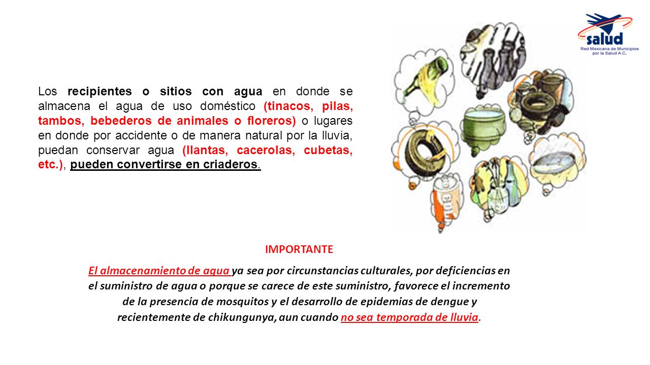 Los recipientes o sitios con agua en donde se almacena el agua de uso doméstico (tinacos, pilas, tambos, bebederos de animales o floreros) o lugares en donde por accidente o de manera natural por la lluvia, puedan conservar agua (llantas, cacerolas, cubetas, etc.), pueden convertirse en criaderos.