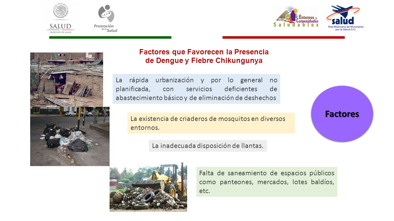 Factores que Favorecen la Presencia de Dengue y Fiebre Chikungunya
