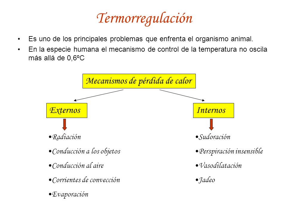 Termorregulación Mecanismos de pérdida de calor Externos Internos