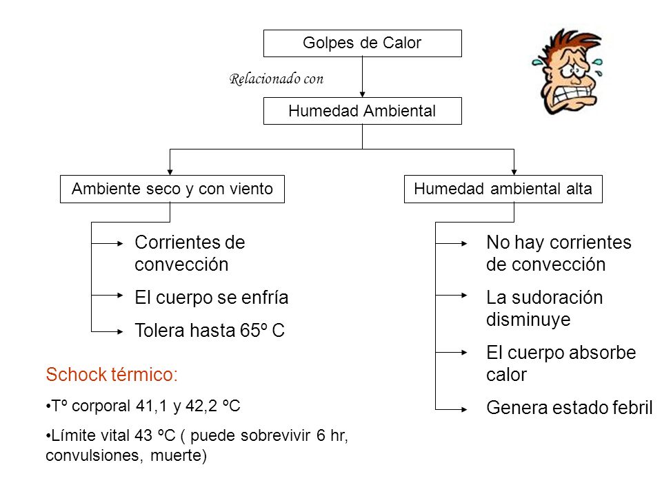 Corrientes de convección El cuerpo se enfría Tolera hasta 65º C