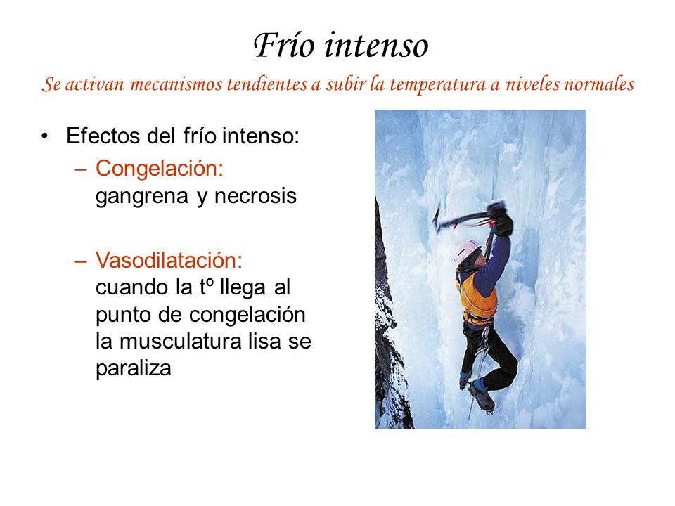Frío intenso Se activan mecanismos tendientes a subir la temperatura a niveles normales. Efectos del frío intenso: