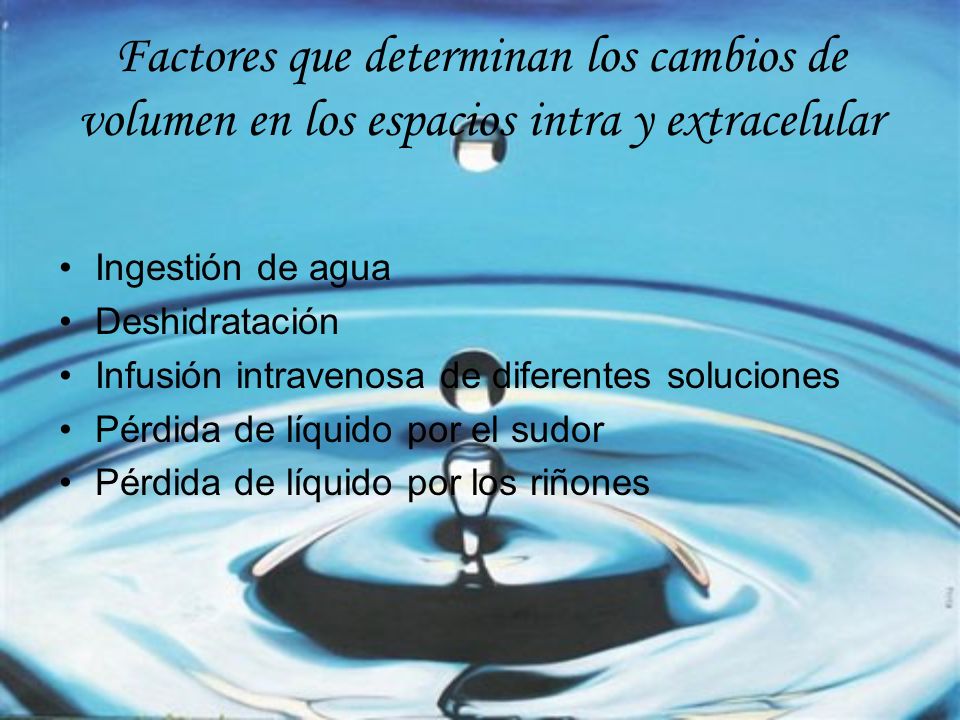 Factores que determinan los cambios de volumen en los espacios intra y extracelular