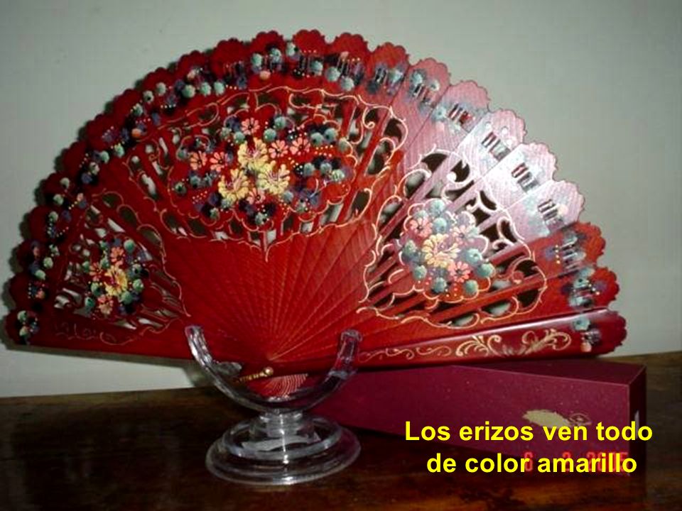 Los erizos ven todo de color amarillo