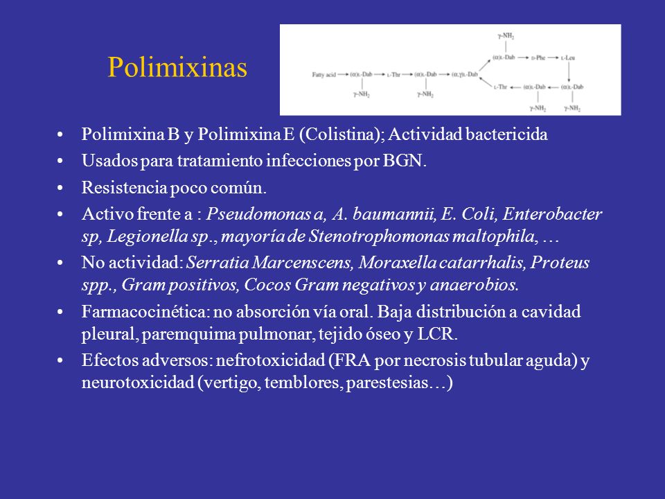 Polimixinas Polimixina B y Polimixina E (Colistina); Actividad bactericida. Usados para tratamiento infecciones por BGN.