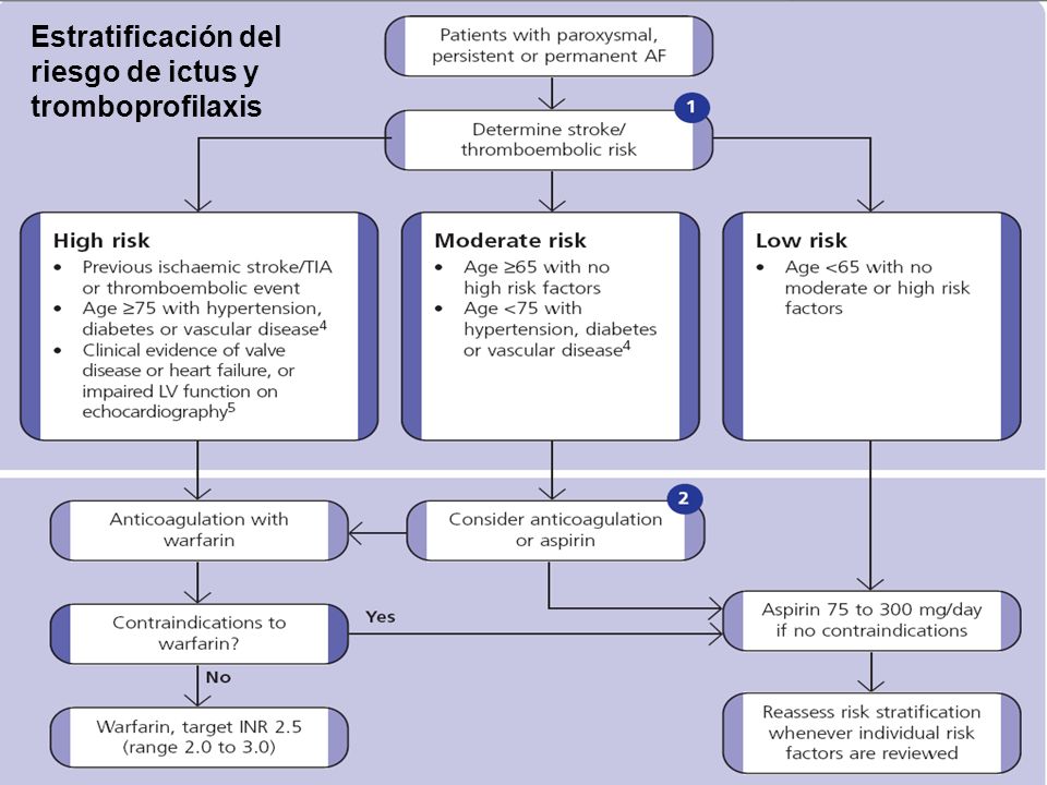 Estratificación del riesgo de ictus y tromboprofilaxis