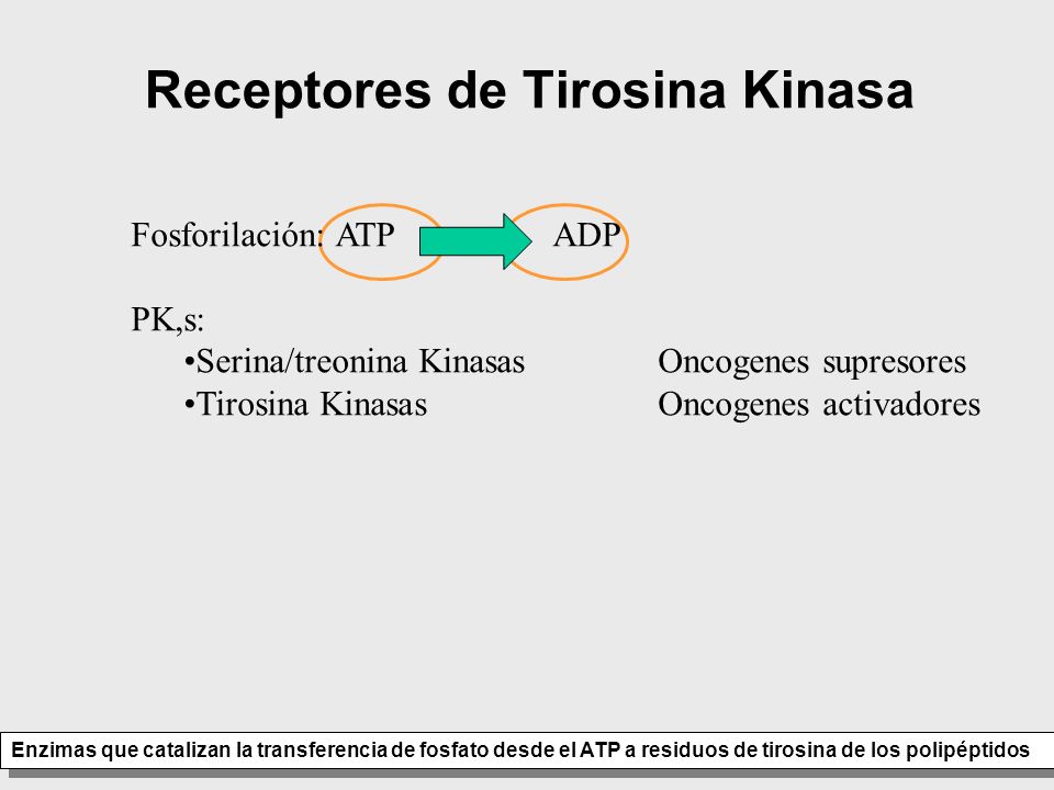Receptores de Tirosina Kinasa