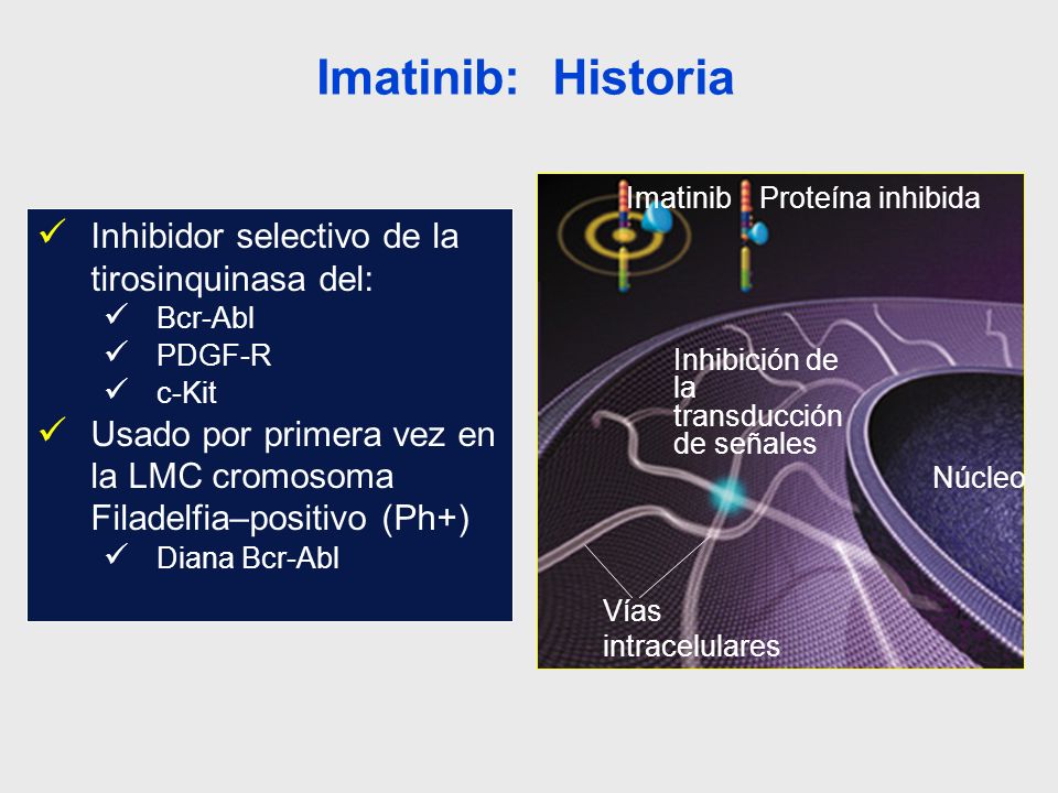 Imatinib: Historia Inhibidor selectivo de la tirosinquinasa del: