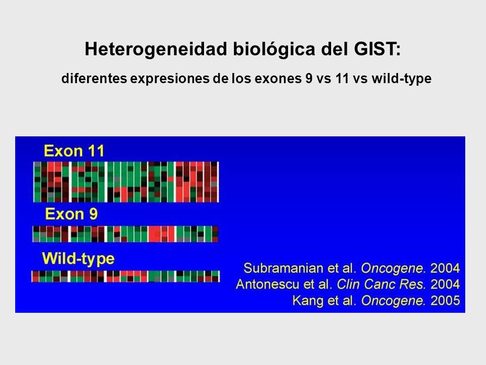 Heterogeneidad biológica del GIST: diferentes expresiones de los exones 9 vs 11 vs wild-type