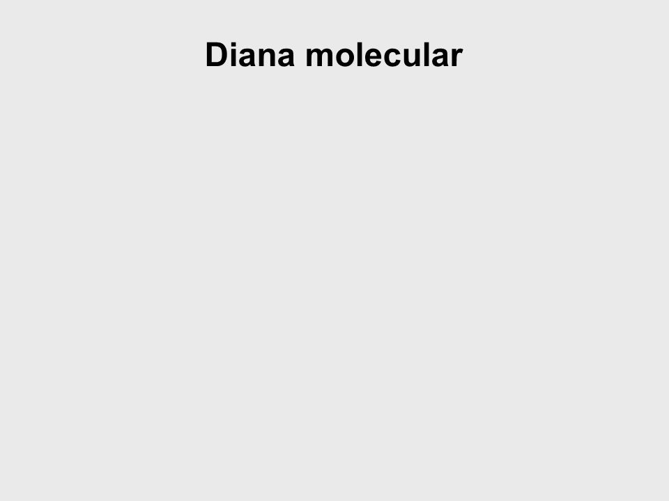 Diana molecular