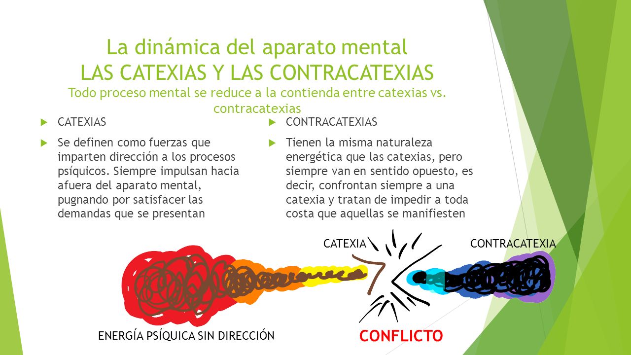 La dinámica del aparato mental LAS CATEXIAS Y LAS CONTRACATEXIAS Todo proceso mental se reduce a la contienda entre catexias vs. contracatexias