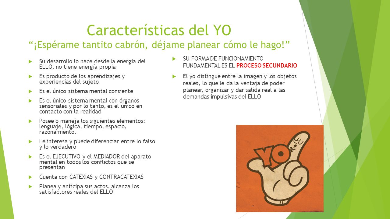 Características del YO ¡Espérame tantito cabrón, déjame planear cómo le hago!