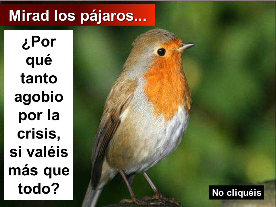¿Por qué tanto agobio por la crisis, si valéis más que todo