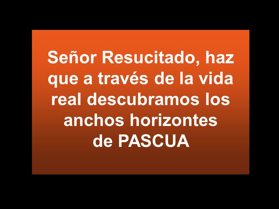 Señor Resucitado, haz que a través de la vida real descubramos los anchos horizontes de PASCUA