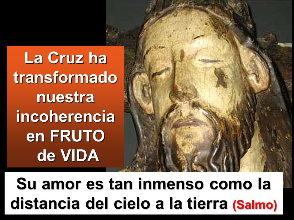 La Cruz ha transformado nuestra incoherencia en FRUTO de VIDA