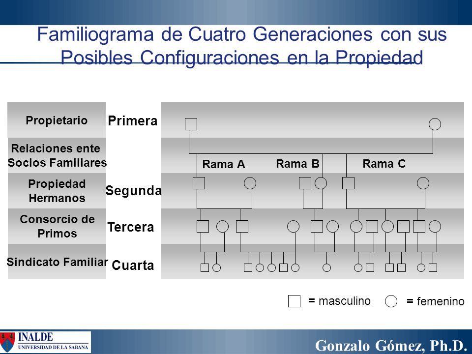 Familiograma de Cuatro Generaciones con sus Posibles Configuraciones en la Propiedad
