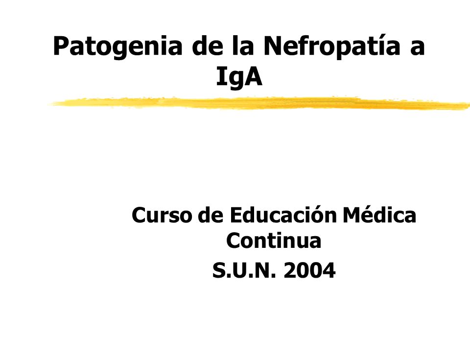 Patogenia de la Nefropatía a IgA