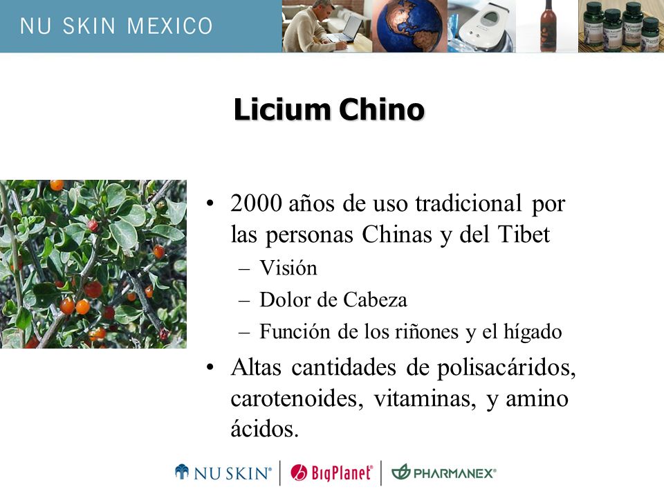Licium Chino 2000 años de uso tradicional por las personas Chinas y del Tibet. Visión. Dolor de Cabeza.