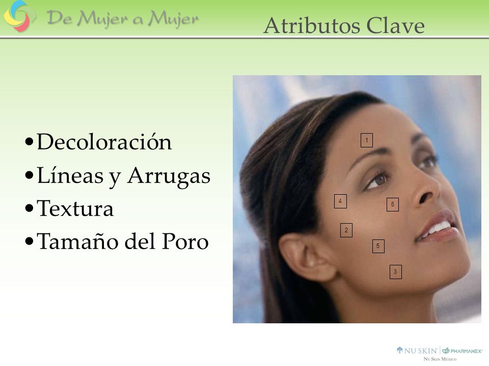 Atributos Clave Decoloración Líneas y Arrugas Textura Tamaño del Poro