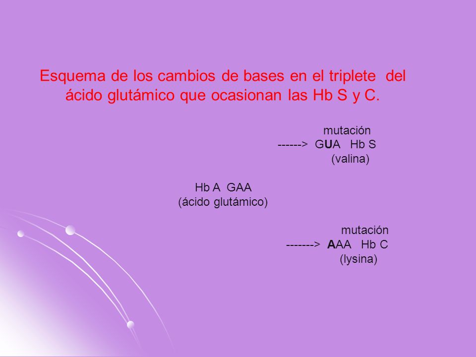 Esquema de los cambios de bases en el triplete del ácido glutámico que ocasionan las Hb S y C.
