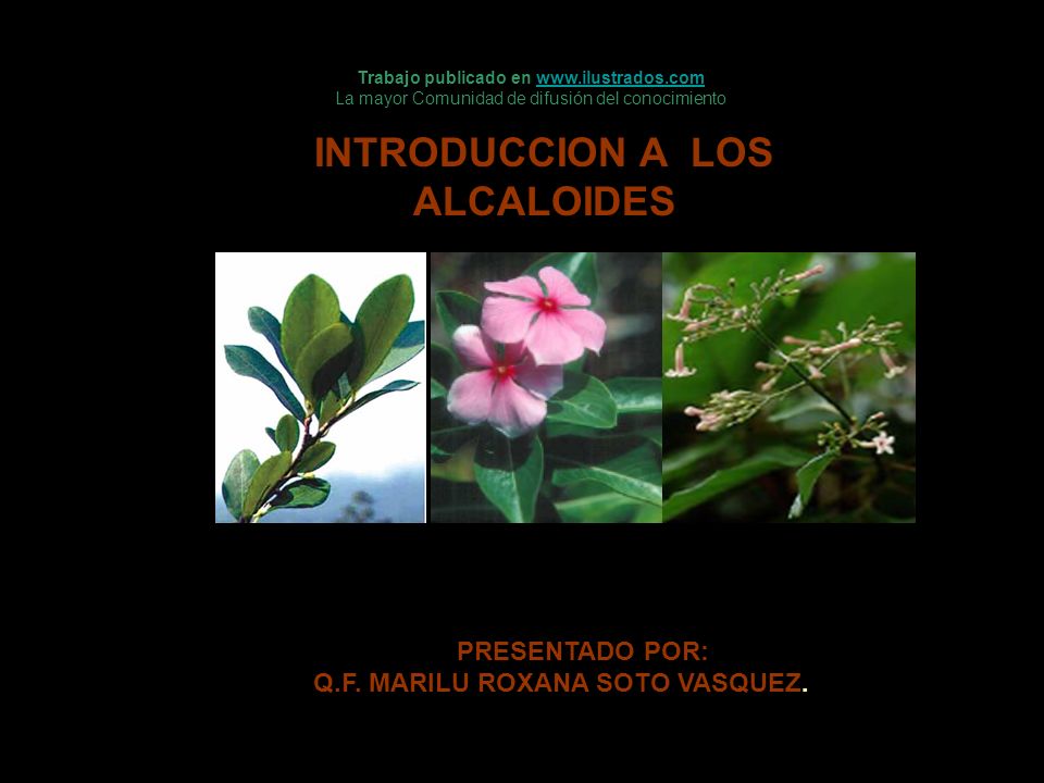 INTRODUCCION A LOS ALCALOIDES
