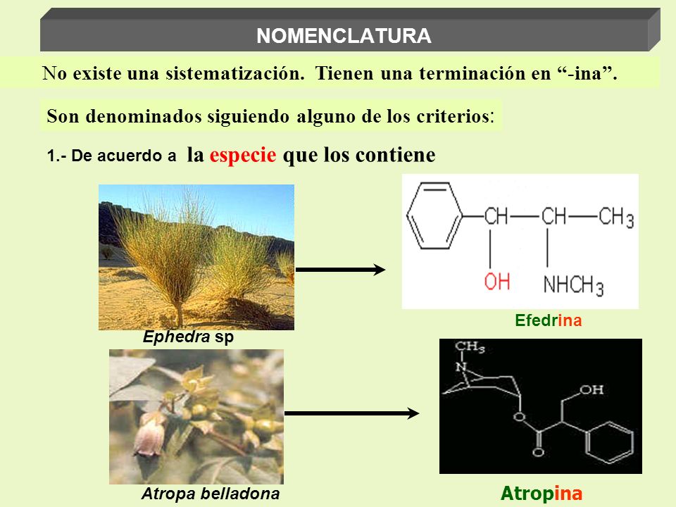 No existe una sistematización. Tienen una terminación en -ina .