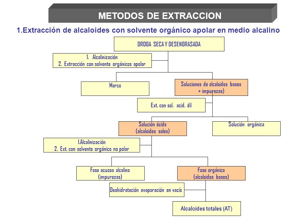 METODOS DE EXTRACCION 1.Extracción de alcaloides con solvente orgánico apolar en medio alcalino. Marco.