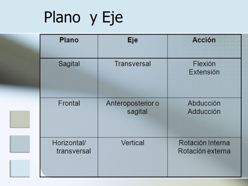 Plano y Eje Plano Eje Acción Sagital Transversal Flexión Extensión