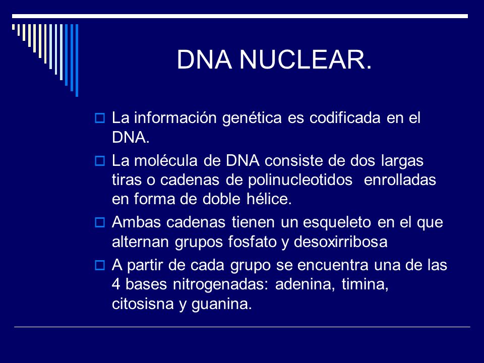 DNA NUCLEAR. La información genética es codificada en el DNA.