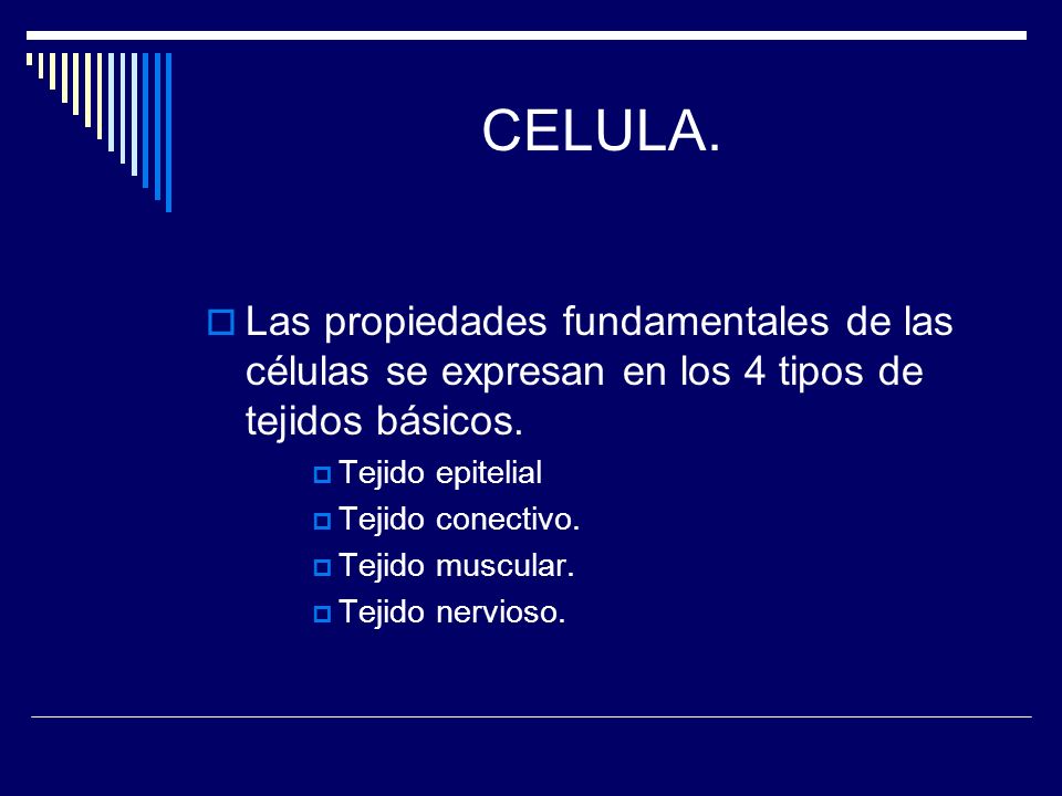 CELULA. Las propiedades fundamentales de las células se expresan en los 4 tipos de tejidos básicos.
