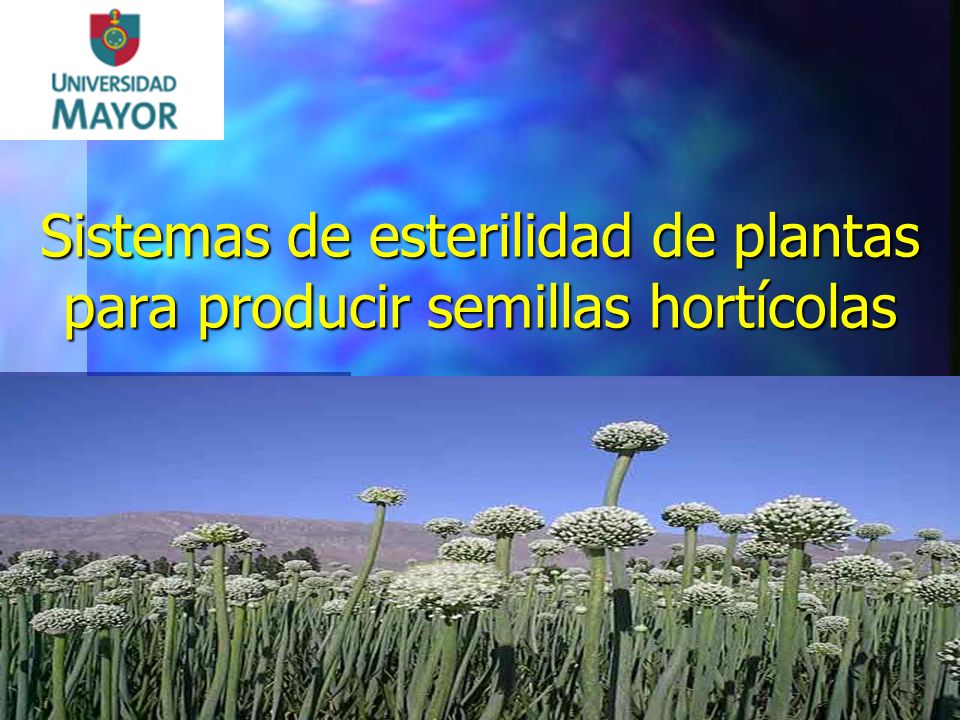Sistemas de esterilidad de plantas para producir semillas hortícolas