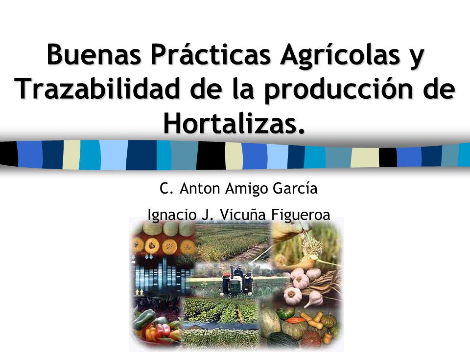 C. Anton Amigo García Ignacio J. Vicuña Figueroa