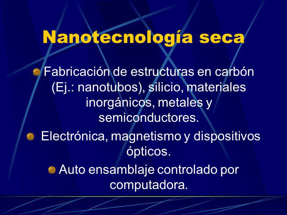 Nanotecnología seca Fabricación de estructuras en carbón (Ej.: nanotubos), silicio, materiales inorgánicos, metales y semiconductores.