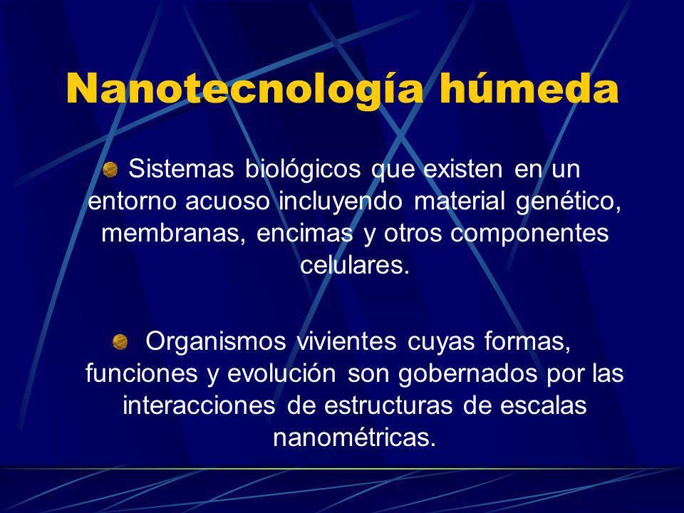 Nanotecnología húmeda