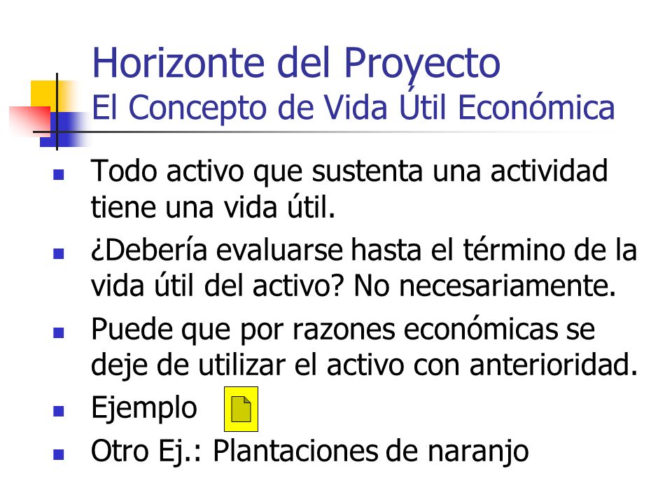 Horizonte del Proyecto El Concepto de Vida Útil Económica