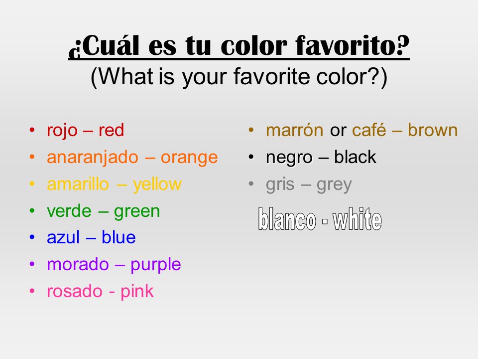 ¿Cuál es tu color favorito (What is your favorite color )