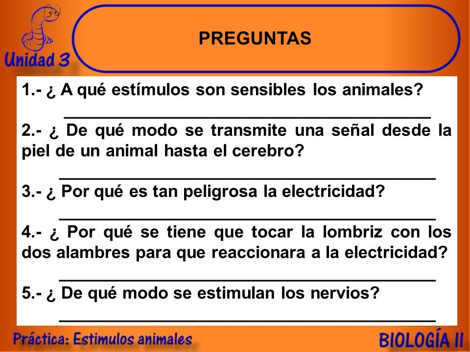 PREGUNTAS 1.- ¿ A qué estímulos son sensibles los animales