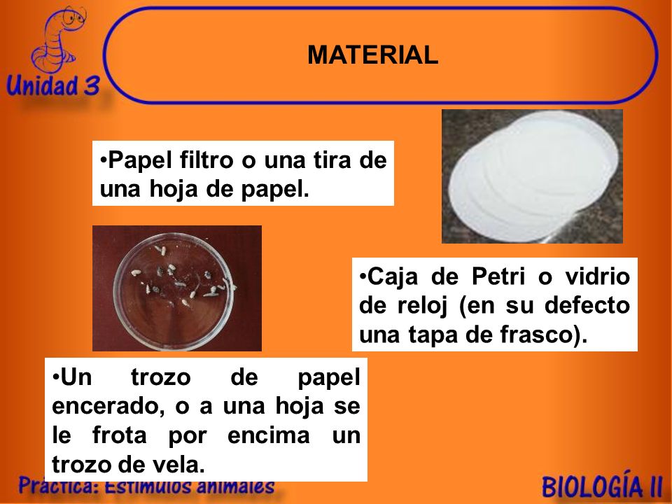 MATERIAL Papel filtro o una tira de una hoja de papel.