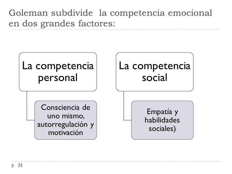 Goleman subdivide la competencia emocional en dos grandes factores: