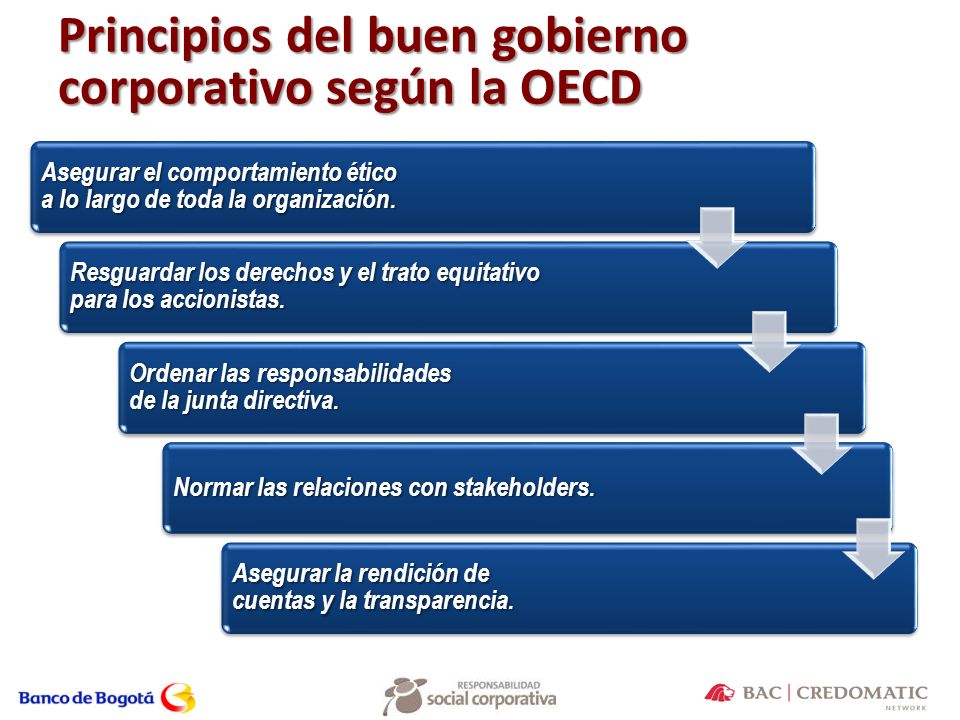 Principios del buen gobierno corporativo según la OECD