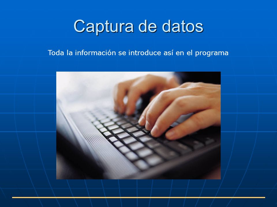 Toda la información se introduce así en el programa