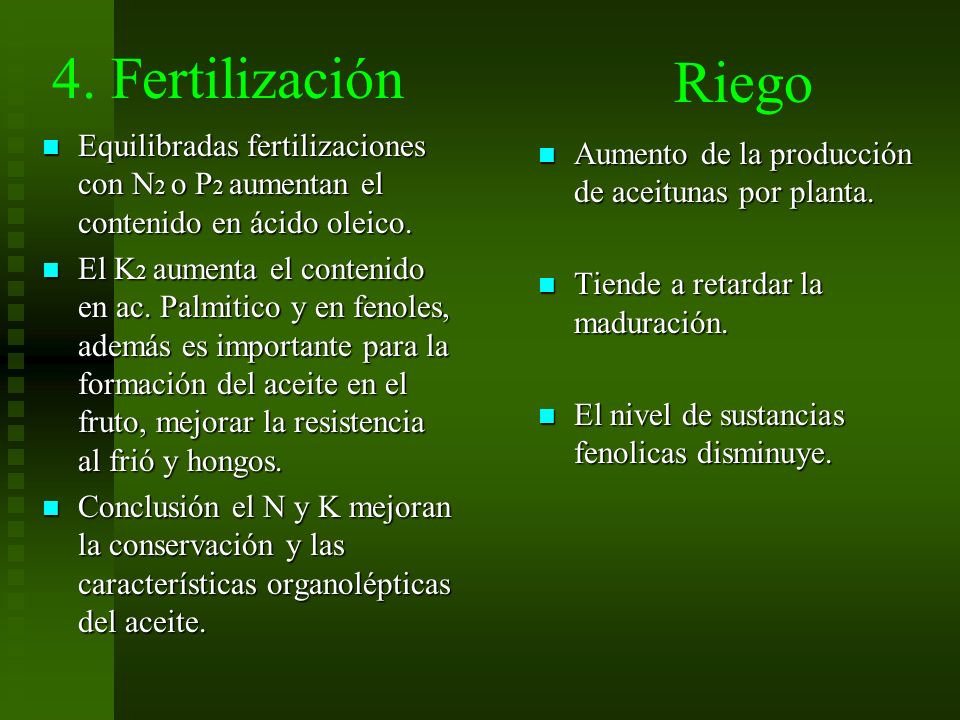 4. Fertilización Riego. Equilibradas fertilizaciones con N2 o P2 aumentan el contenido en ácido oleico.