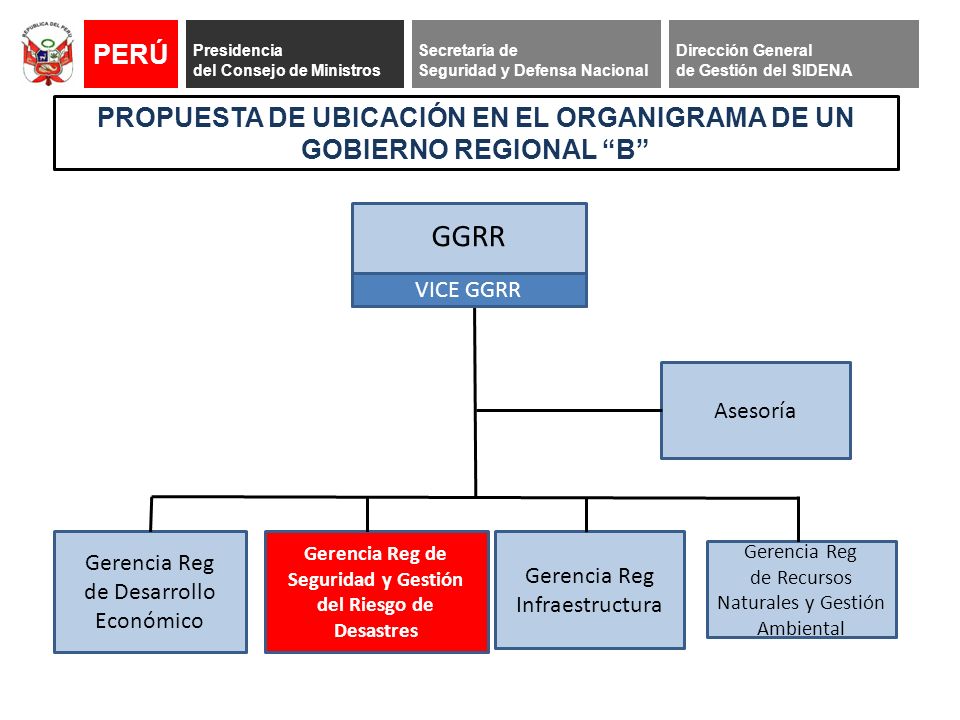 PROPUESTA DE UBICACIÓN EN EL ORGANIGRAMA DE UN GOBIERNO REGIONAL B