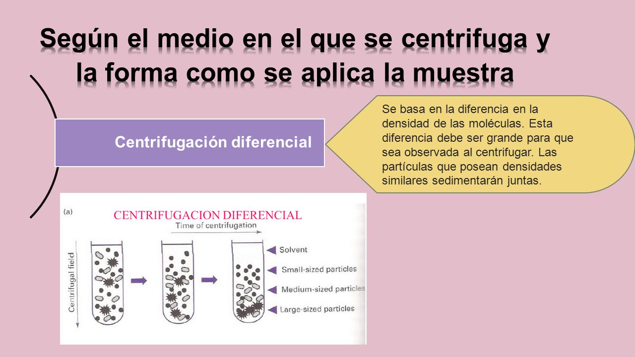 Según el medio en el que se centrifuga y la forma como se aplica la muestra