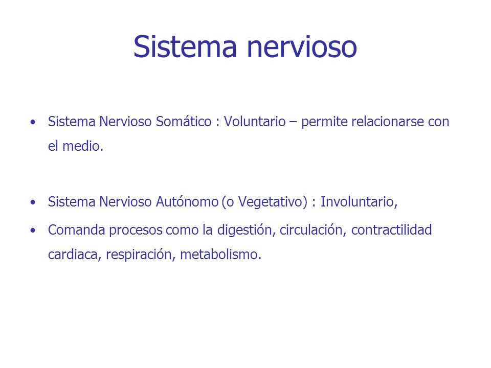 Sistema nervioso Sistema Nervioso Somático : Voluntario – permite relacionarse con el medio.