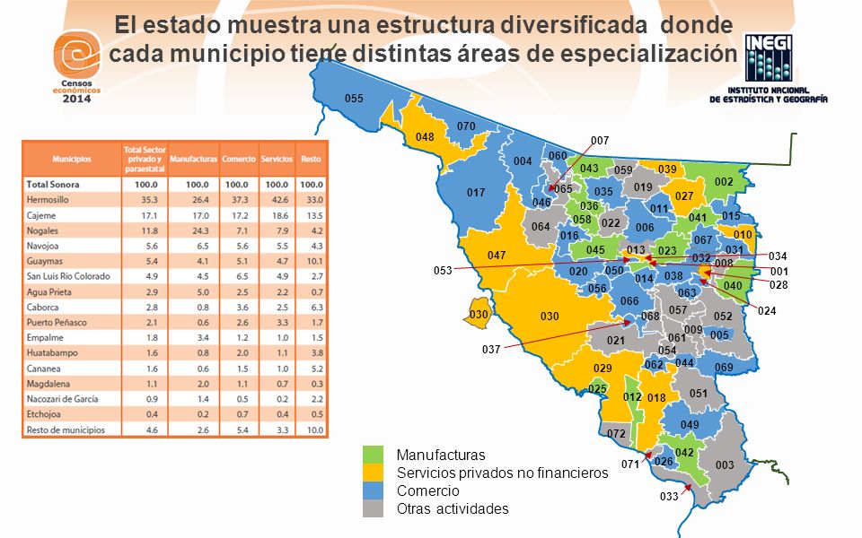 El estado muestra una estructura diversificada donde cada municipio tiene distintas áreas de especialización