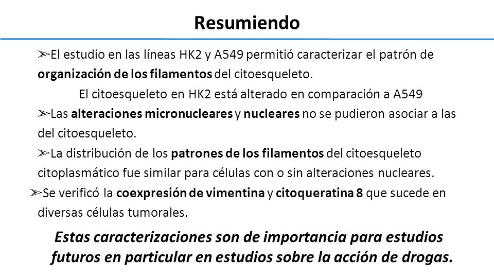 El citoesqueleto en HK2 está alterado en comparación a A549