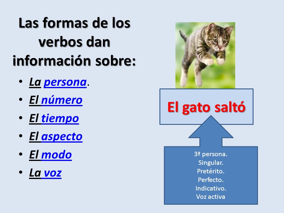 Las formas de los verbos dan información sobre: