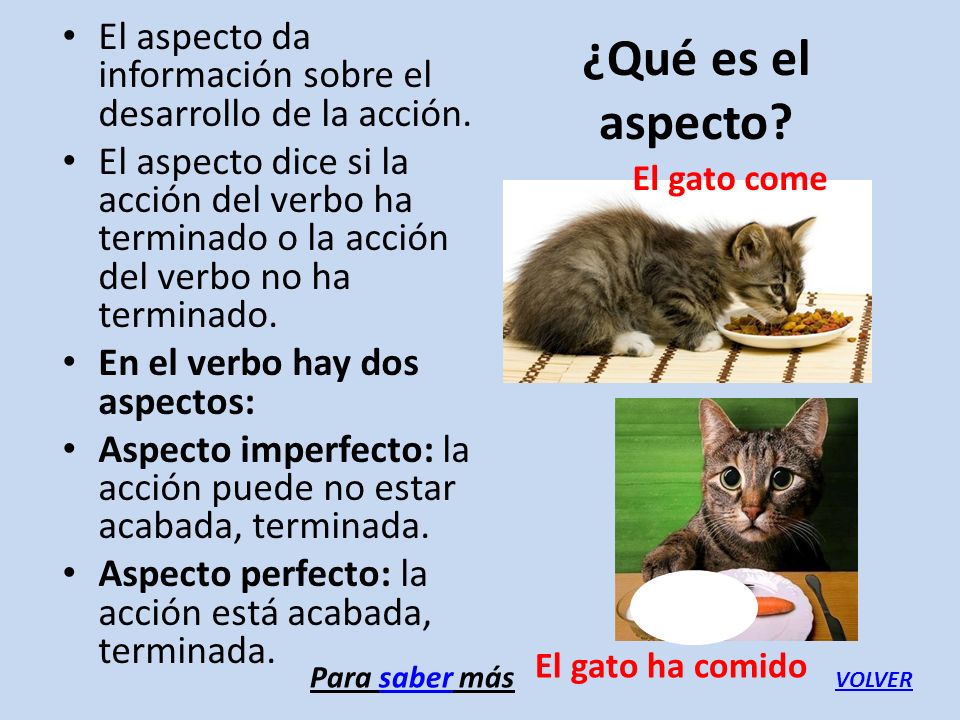 El aspecto da información sobre el desarrollo de la acción.